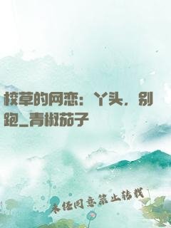 校草的网恋：丫头，别跑