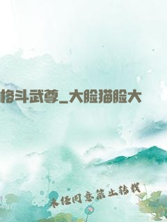 格斗武尊