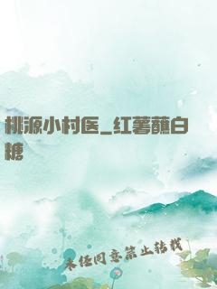 桃源小村医