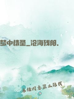 梦中情圣