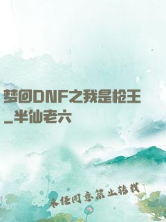 梦回DNF之我是枪王