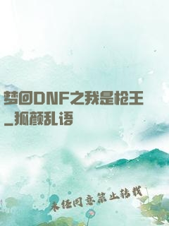 梦回DNF之我是枪王