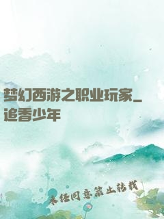 梦幻西游之职业玩家