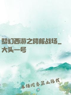 梦幻西游之跨服战场