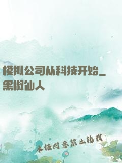 模拟公司从科技开始