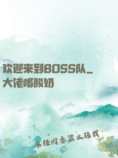 欢迎来到BOSS队