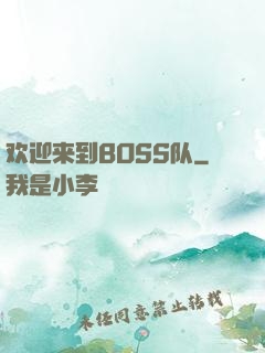 欢迎来到BOSS队