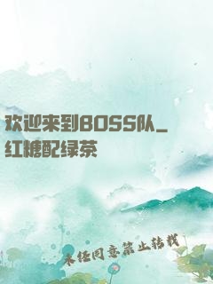 欢迎来到BOSS队