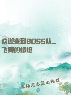 欢迎来到BOSS队
