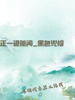 正一道秘闻