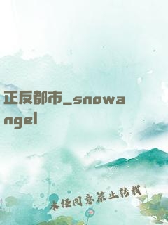 正反都市