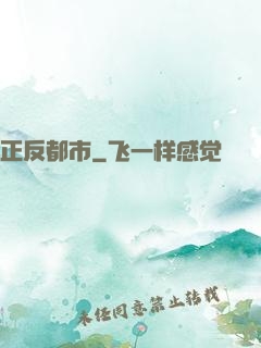 正反都市