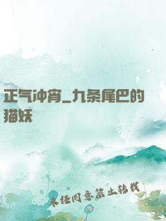 正气冲宵