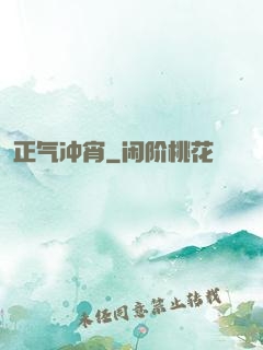 正气冲宵