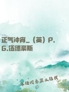 正气冲宵