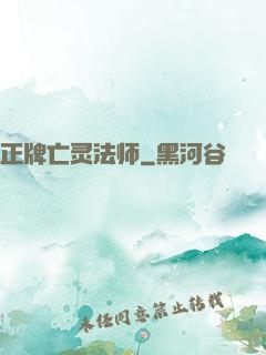 正牌亡灵法师