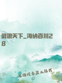 武傲天下