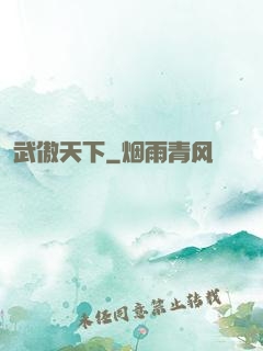 武傲天下