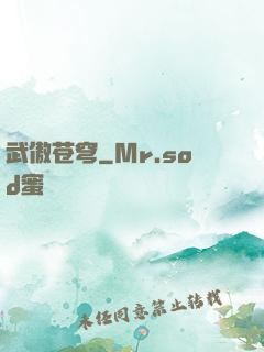 武傲苍穹
