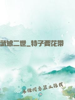 武娘二世