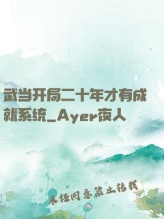 武当开局二十年才有成就系统