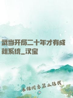 武当开局二十年才有成就系统