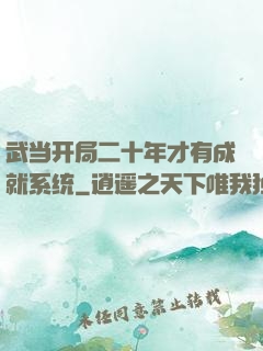 武当开局二十年才有成就系统