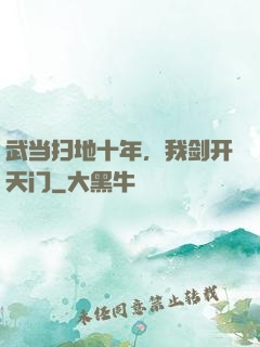 武当扫地十年，我剑开天门