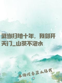 武当扫地十年，我剑开天门