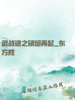 武战道之硝烟再起