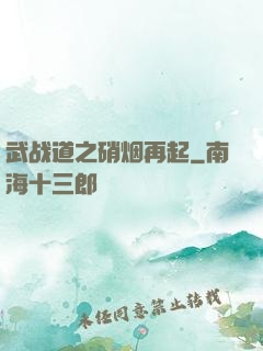 武战道之硝烟再起