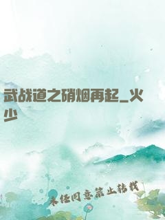 武战道之硝烟再起