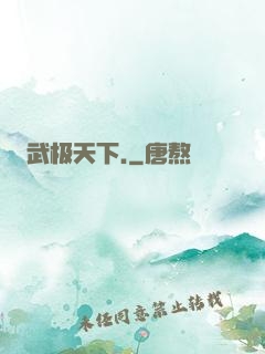 武极天下.