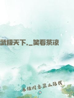 武极天下.