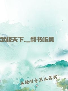 武极天下.