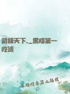 武极天下.