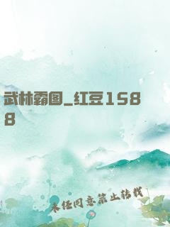武林霸图