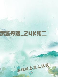 武炼丹途