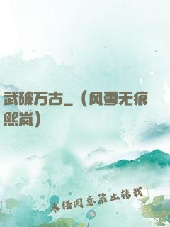 武破万古