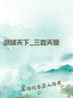 武破天下