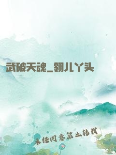 武破天魂
