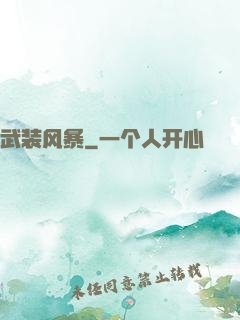 武装风暴