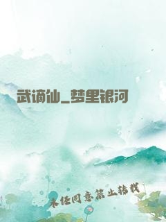 武谪仙