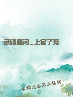 武踏星河