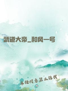 武道大帝