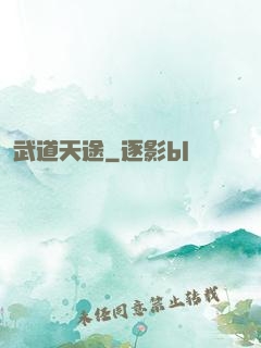 武道天途