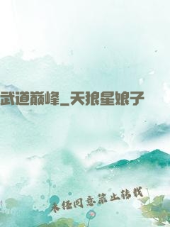 武道巅峰