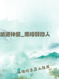 武道神皇