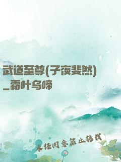 武道至尊(子夜斐然)