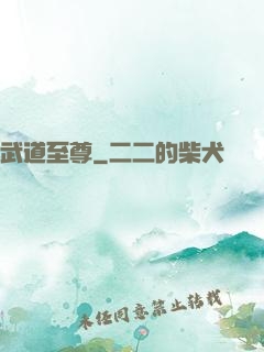 武道至尊